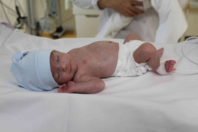 Minik  Ayaz dört elle hayata sarıldı