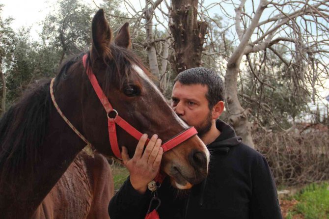 Çaldığı atla markete girip attan kasada indi