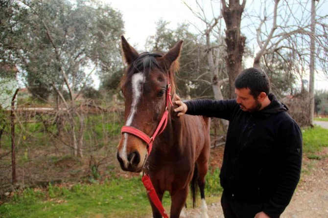 Çaldığı atla markete girip attan kasada indi