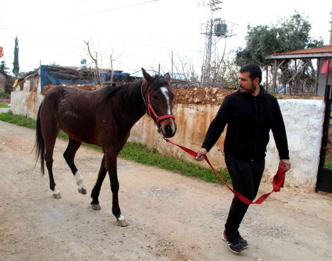 Çaldığı atla markete girip attan kasada indi