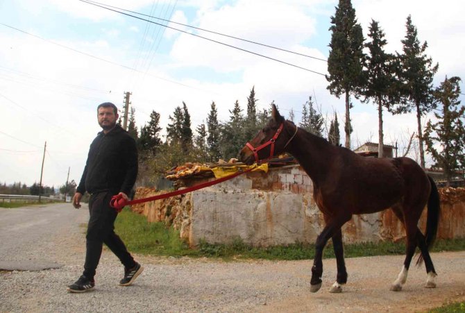 Çaldığı atla markete girip attan kasada indi