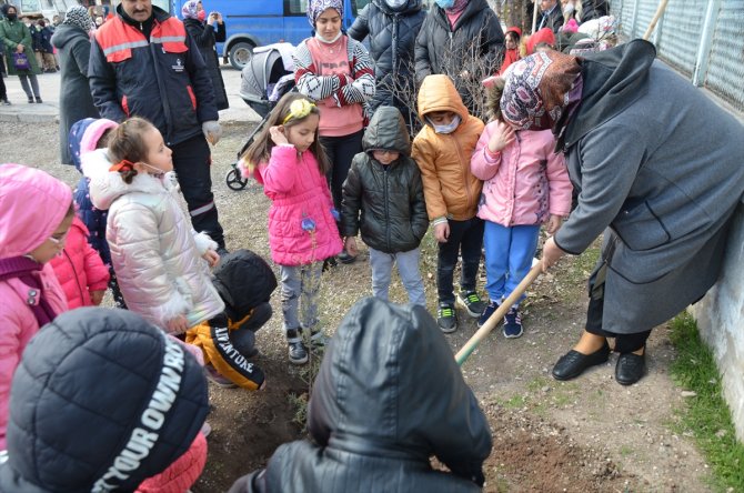 Öğrenciler okul bahçesine fidan dikti