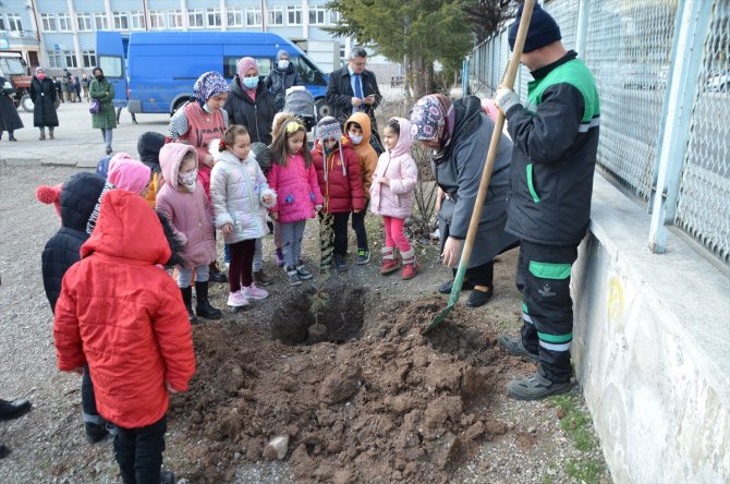 Öğrenciler okul bahçesine fidan dikti