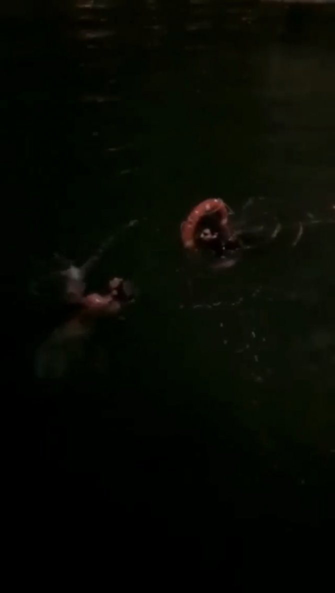 Denize atlayan genci bekçi kurtardı