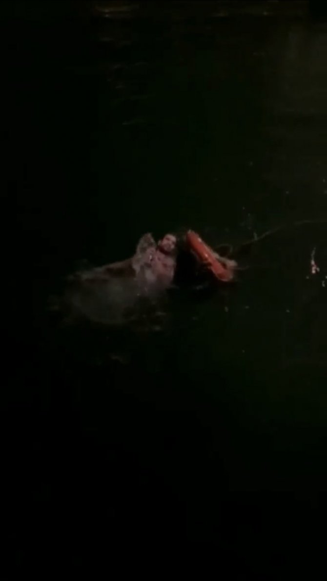 Denize atlayan genci bekçi kurtardı