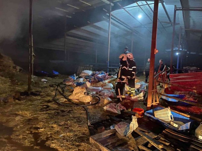 Manisa’da besi çiftliğinde yangın