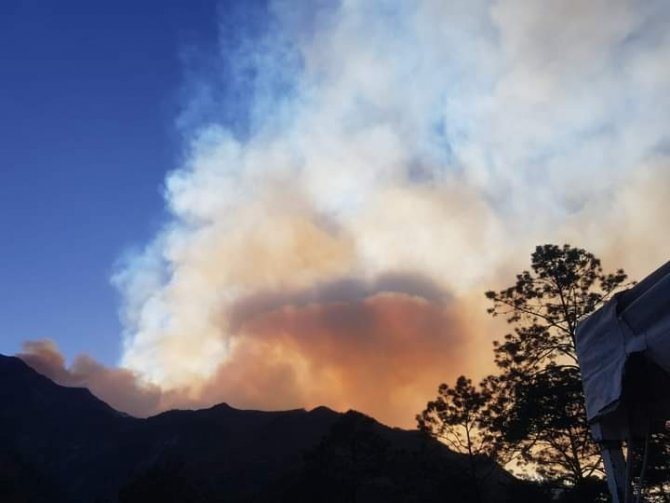 33 ayrı noktada aktif orman yangını bildirildi