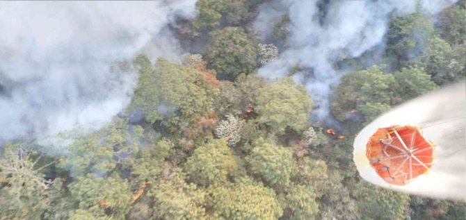 33 ayrı noktada aktif orman yangını bildirildi