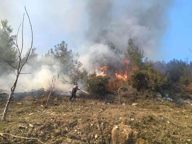 Kontrolden çıkan anız ateşi, ormanlık alana sıçradı