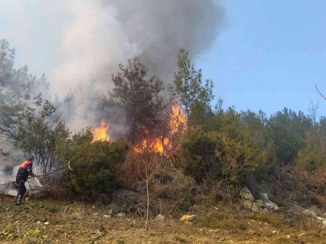 Kontrolden çıkan anız ateşi, ormanlık alana sıçradı