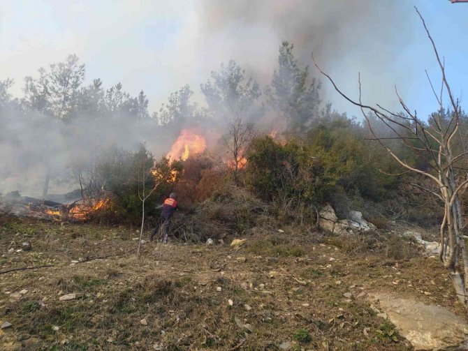 Kontrolden çıkan anız ateşi, ormanlık alana sıçradı