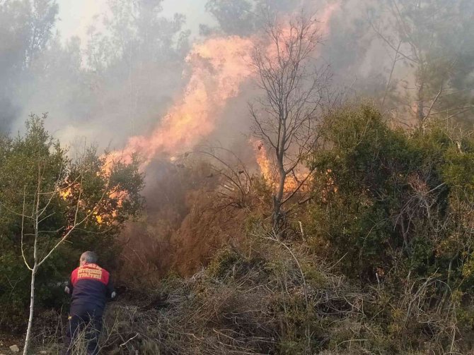 Kontrolden çıkan anız ateşi, ormanlık alana sıçradı