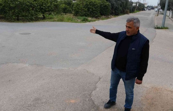 Köpeklerin saldırdığı genç kızın korku dolu anları kamerada