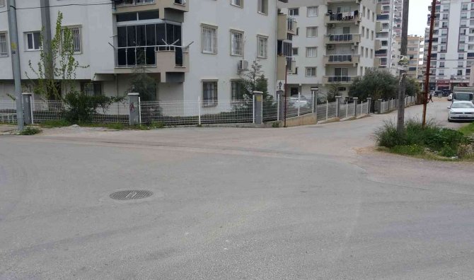 Köpeklerin saldırdığı genç kızın korku dolu anları kamerada