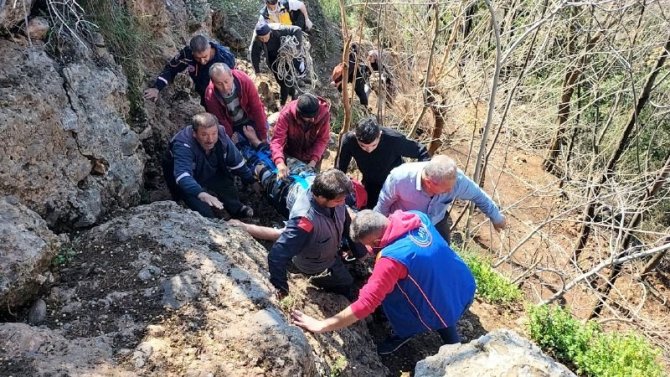 Koyun otlatırken kayalıklardan düştü