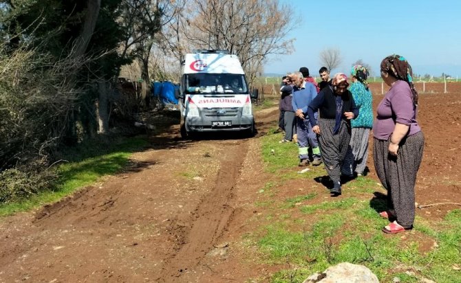 Koyun otlatırken kayalıklardan düştü