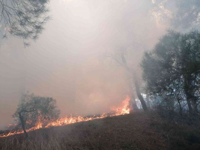 Orman yangını köylülerin de yardımıyla kontrol altına alındı