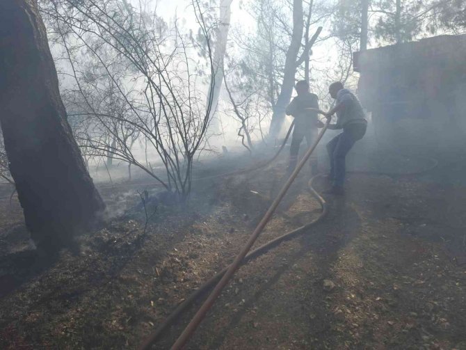 Orman yangını köylülerin de yardımıyla kontrol altına alındı