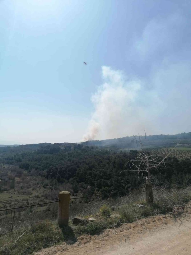 Orman yangını köylülerin de yardımıyla kontrol altına alındı