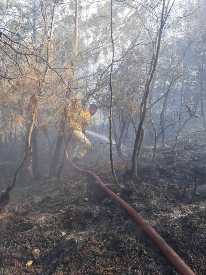 Orman yangını köylülerin de yardımıyla kontrol altına alındı