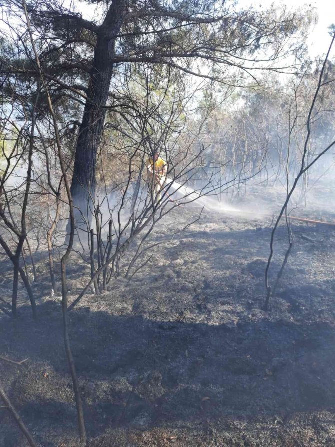 Orman yangını köylülerin de yardımıyla kontrol altına alındı