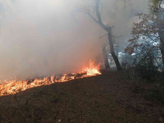 Orman yangını köylülerin de yardımıyla kontrol altına alındı
