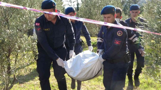 Tarlada çalıştığı çapa makinesinin altında kalan adam hayatını kaybetti