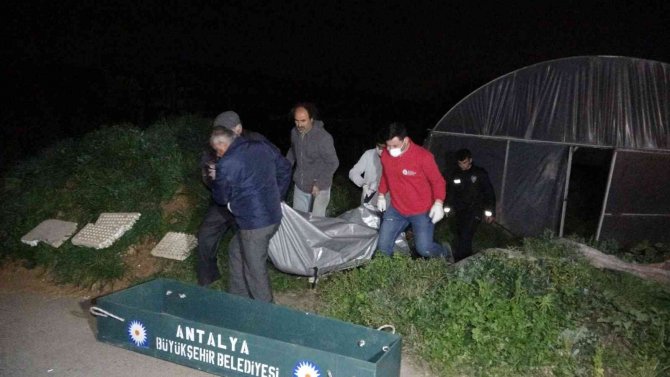 Yaşlı adam serada ölü bulundu, ortağı gözyaşlarını tutamadı