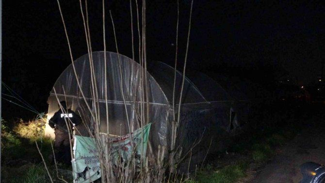 Yaşlı adam serada ölü bulundu, ortağı gözyaşlarını tutamadı