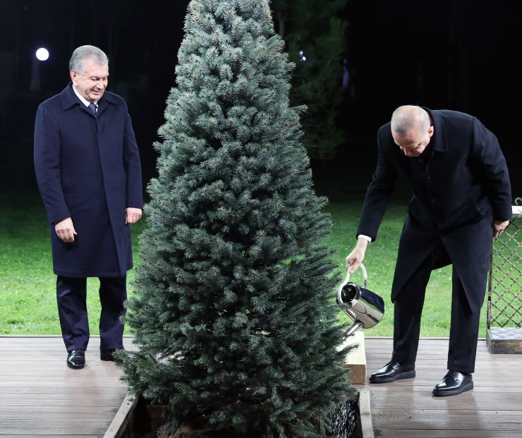 Erdoğan, Özbekistan Cumhurbaşkanı Mirziyoyev’le dostluk ağacı dikti