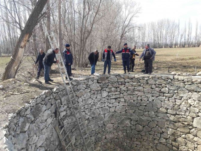 İki gündür kuyuda can çekişti, imdadına itfaiye yetişti