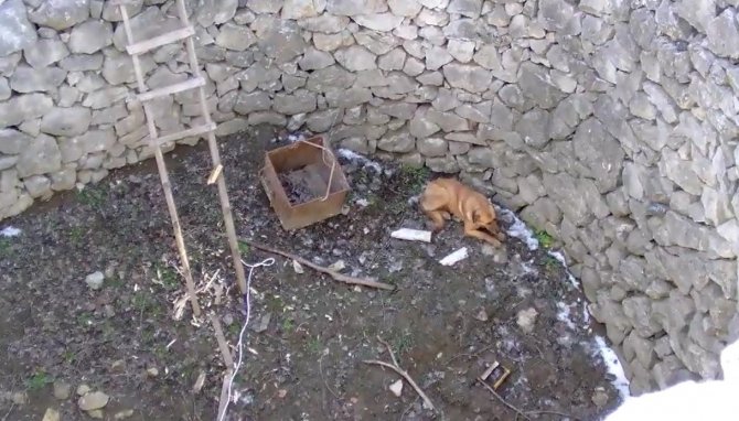 İki gündür kuyuda can çekişti, imdadına itfaiye yetişti