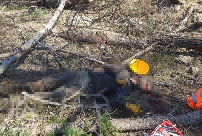 Kestiği ağaçla arkadaşının ölümüne sebep olan yabancı uyruklu işçi tutuklandı