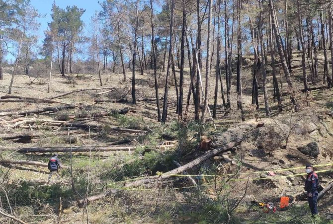 Kestiği ağaçla arkadaşının ölümüne sebep olan yabancı uyruklu işçi tutuklandı