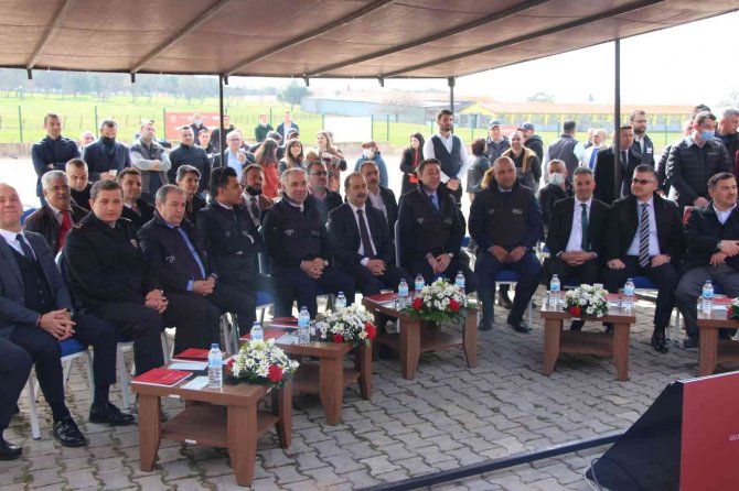 Merinos ırkı koç 12 bin 500 liradan satıldı