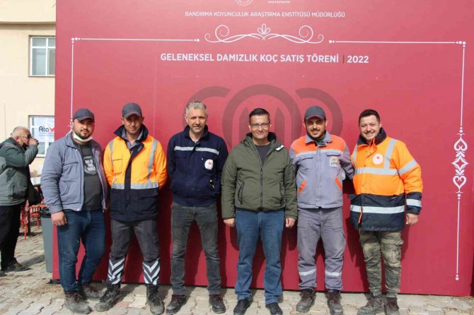 Merinos ırkı koç 12 bin 500 liradan satıldı