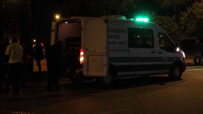 Reçel yapmak için refüjde turunç toplayan kadınlara otomobil çarptı: 3 ölü