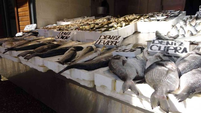 Tezgâhları farklı illerden gelen balıklar süslüyor