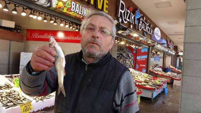 Tezgâhları farklı illerden gelen balıklar süslüyor