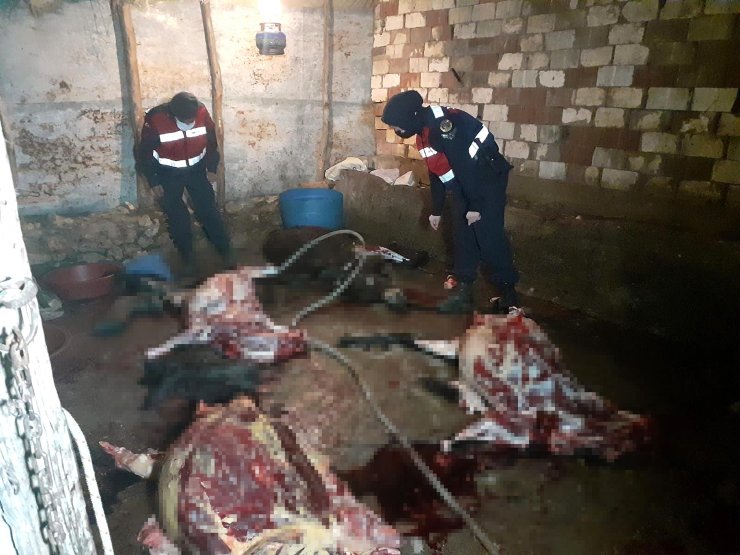 At ve eşek kesen 5 kişi suçüstü yakalandı