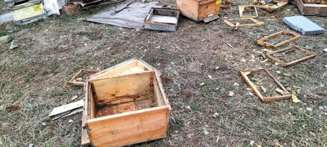 Baba yadigarıydı, gördükleri manzarayla şoke oldular