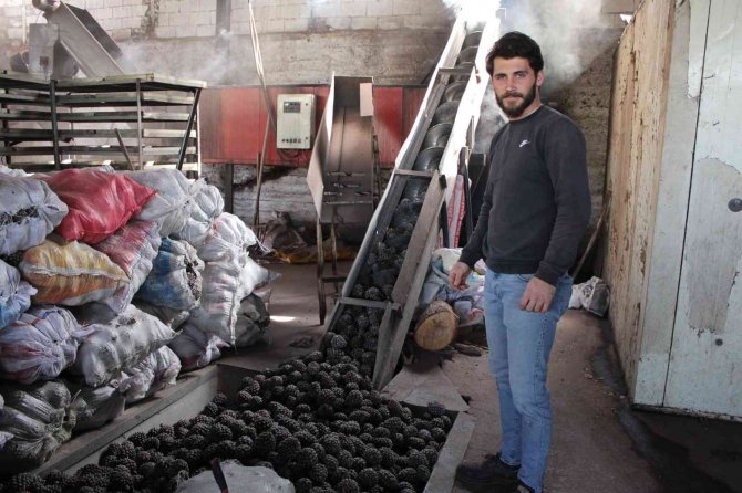 Altın değerindeki künarın zorlu yolculuğu başladı