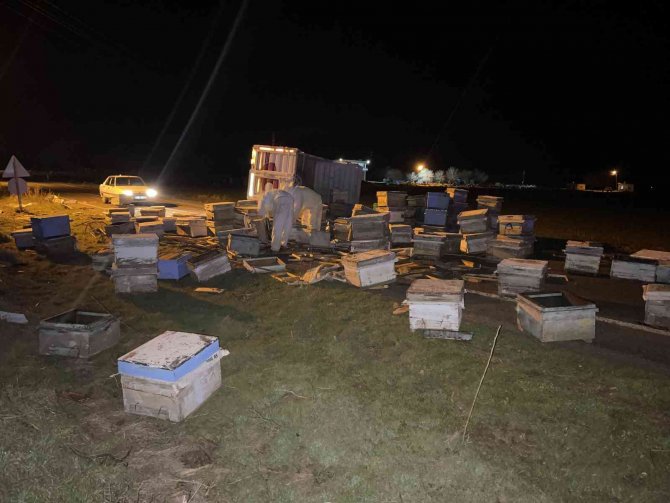 Arı kovanı yüklü pikap takla attı, arılar yola saçıldı