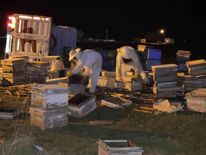 Arı kovanı yüklü pikap takla attı, arılar yola saçıldı