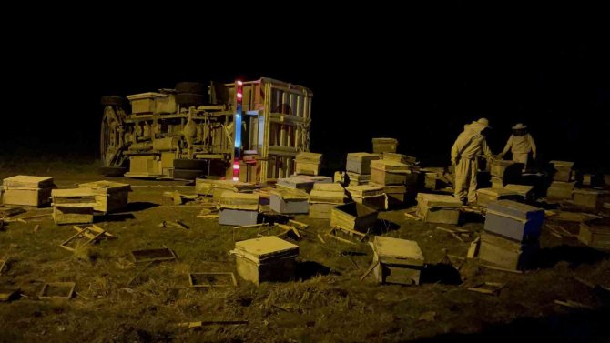 Arı kovanı yüklü pikap takla attı, arılar yola saçıldı