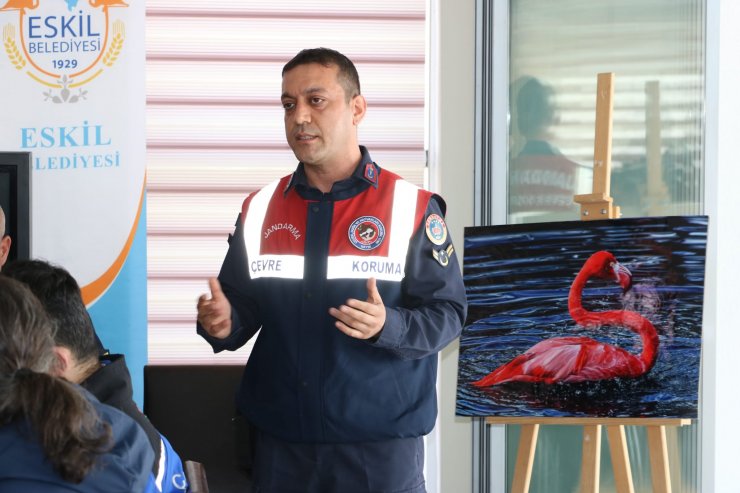 Ayağında çip bulunan flamingo Konya Hayvanat Bahçesine gönderildi!