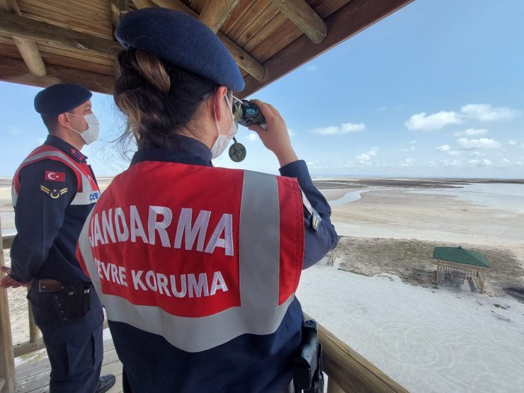 Ayağında çip bulunan flamingo Konya Hayvanat Bahçesine gönderildi!