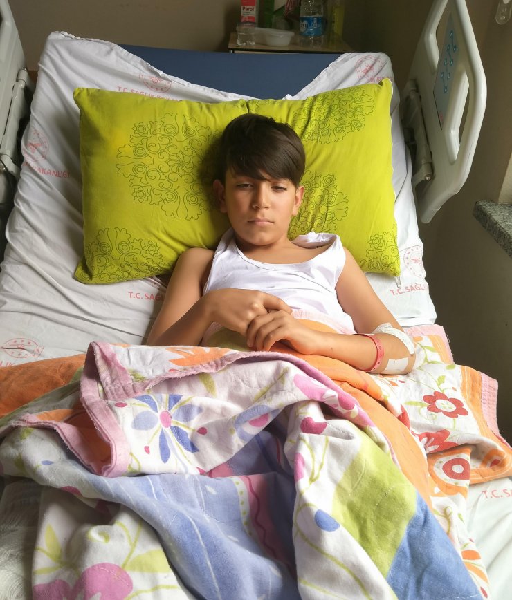 Bisikletiyle köpeklerden kaçarken cipin altında kaldı