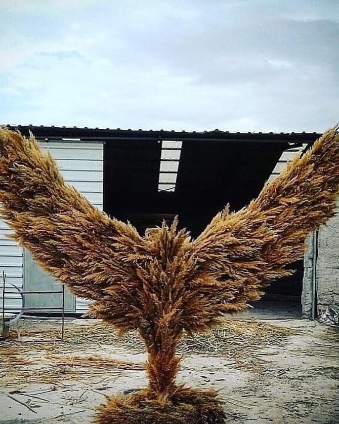 Romanlar turizm sezonu hazırlıklarına başladı