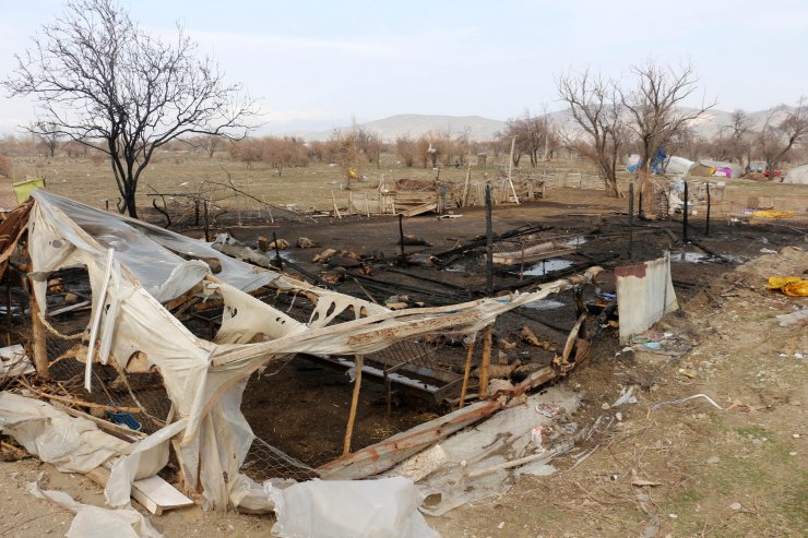 Ağılda çıkan yangında hayvanlar telef oldu